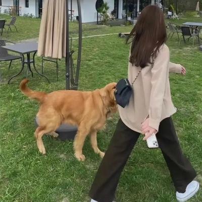 南风知我意